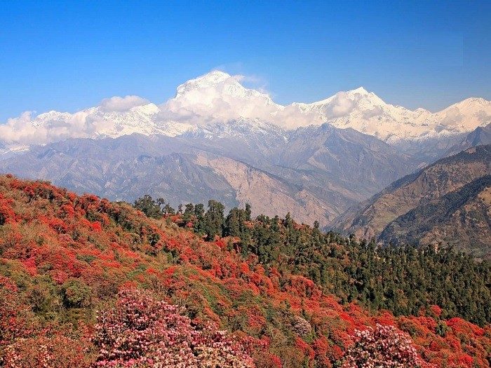 Du lịch Nepal: Hành trình mê hoặc giữa núi non và văn hóa độc đáo