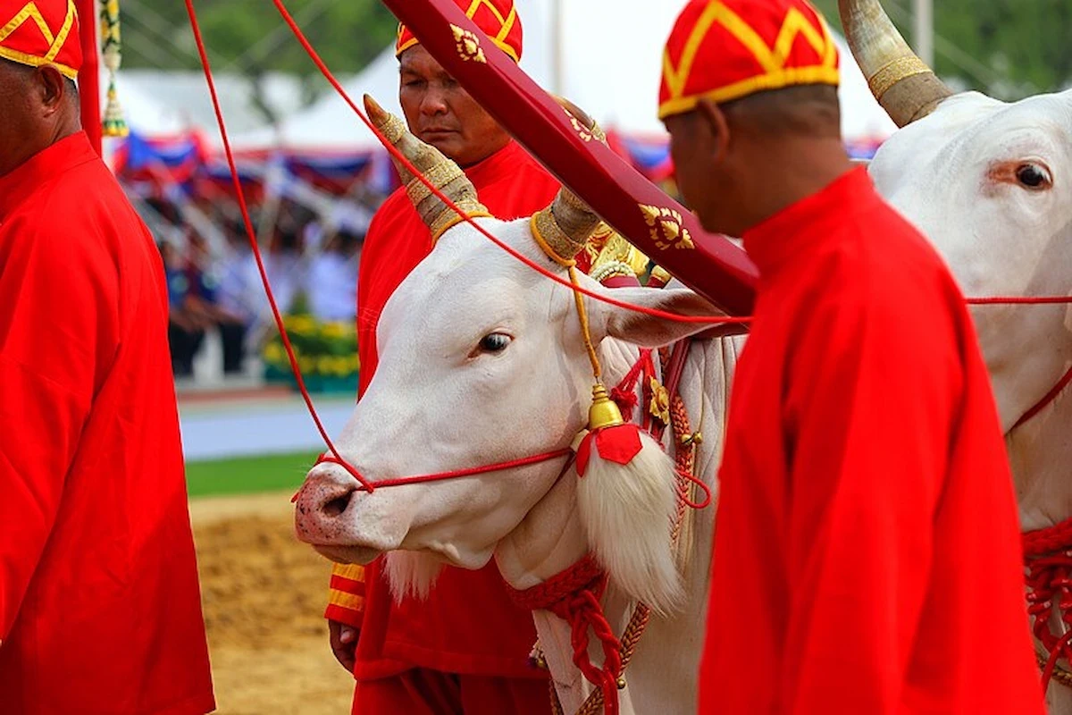 Ngày lễ Vesak tại Thái Lan